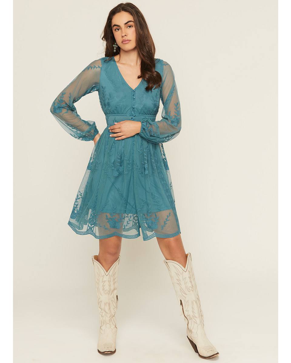 embroidered mesh dress long sleeve Long-Sleeve Floral Mesh Sheath Dress